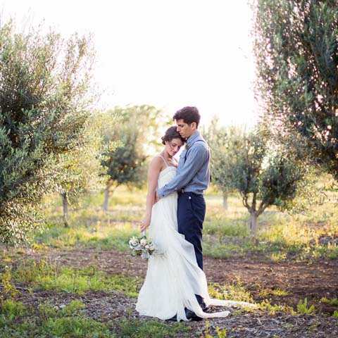 Texas Hill Country Olive Co.